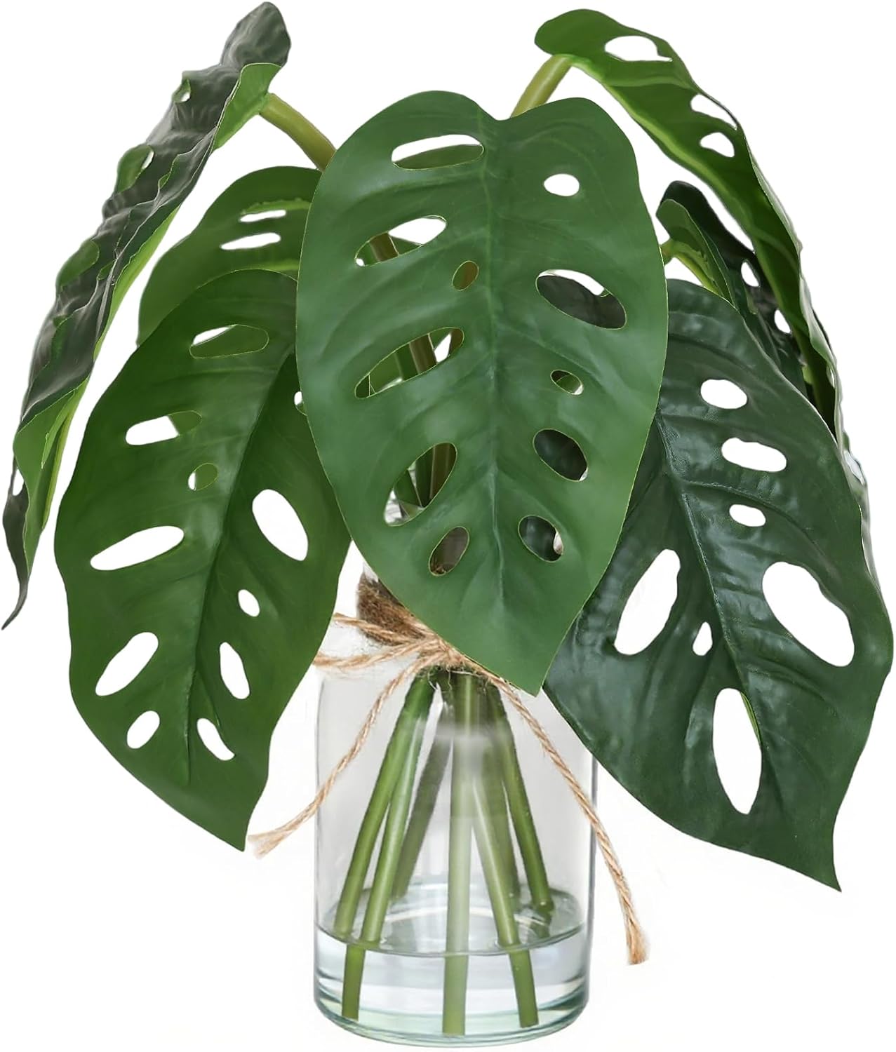 Artificial Flowers Turtle-Back Alocasia Leaf Glass Vase review
